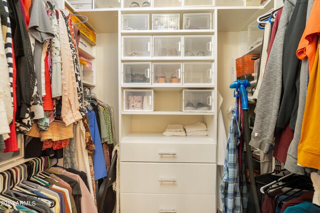 view of walk in closet