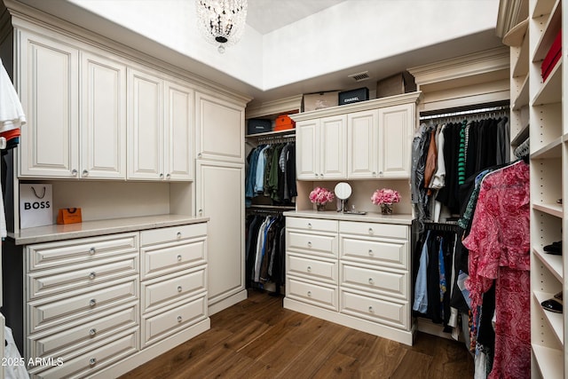 7025 E Ashler Hills Dr, Scottsdale, AZ 85266 - walk in closet with dark wood-type flooring