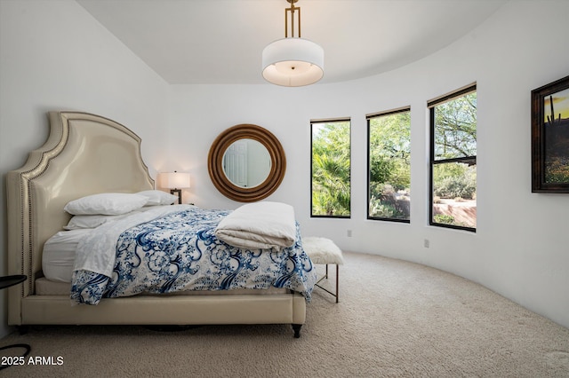 7025 E Ashler Hills Dr, Scottsdale, AZ 85266 - view of carpeted bedroom