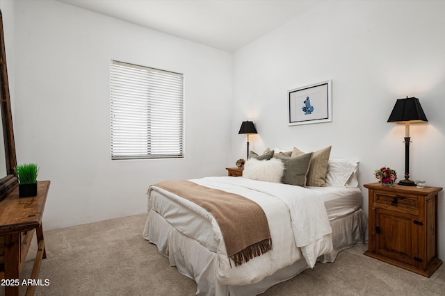 7025 E Ashler Hills Dr, Scottsdale, AZ 85266 - bedroom featuring light carpet