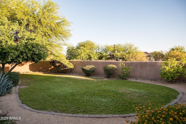7025 E Ashler Hills Dr, Scottsdale, AZ 85266 - view of yard