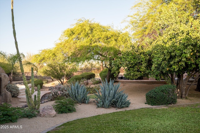 7025 E Ashler Hills Dr, Scottsdale, AZ 85266 - view of yard