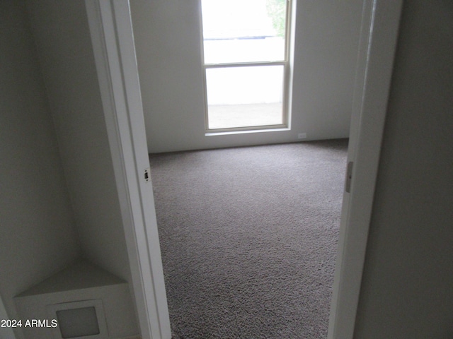 unfurnished room featuring carpet floors