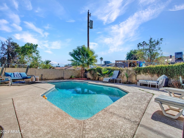 view of swimming pool with a patio