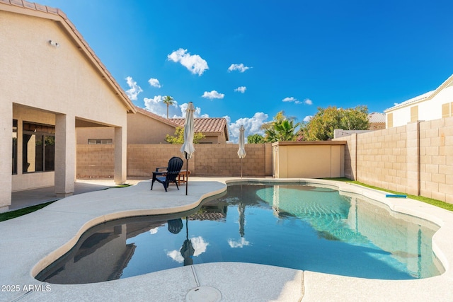 view of swimming pool with a patio