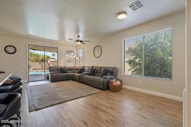 384 N Scott Dr, Chandler, AZ 85225 - living room featuring a wealth of natural light, a ceiling fan, light wood finished floors, and visible vents