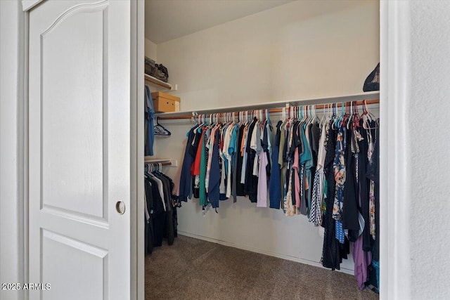 384 N Scott Dr, Chandler, AZ 85225 - spacious closet with carpet floors
