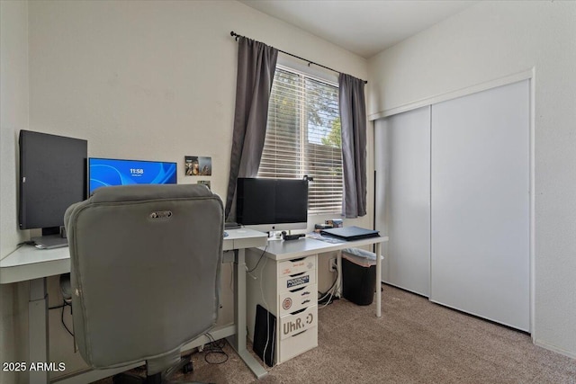 384 N Scott Dr, Chandler, AZ 85225 - office space featuring light colored carpet