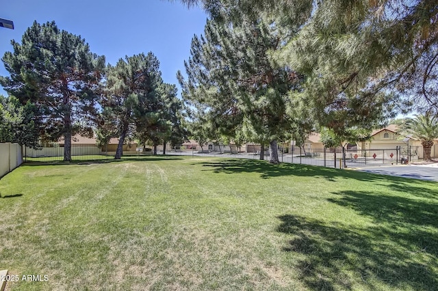 10244 N 65th Ln, Glendale, AZ 85302 - view of yard