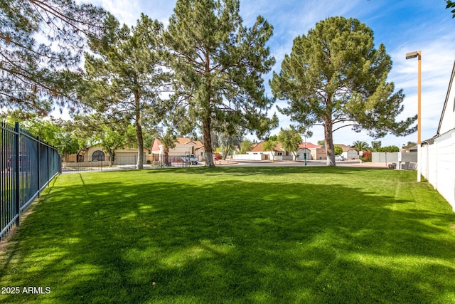 10244 N 65th Ln, Glendale, AZ 85302 - view of yard