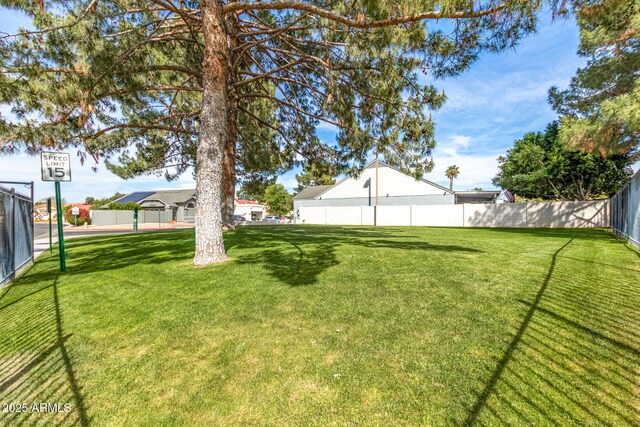10244 N 65th Ln, Glendale, AZ 85302 - view of yard