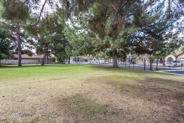 10244 N 65th Ln, Glendale, AZ 85302 - view of yard