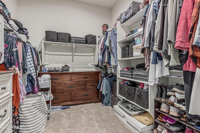 walk in closet with carpet floors