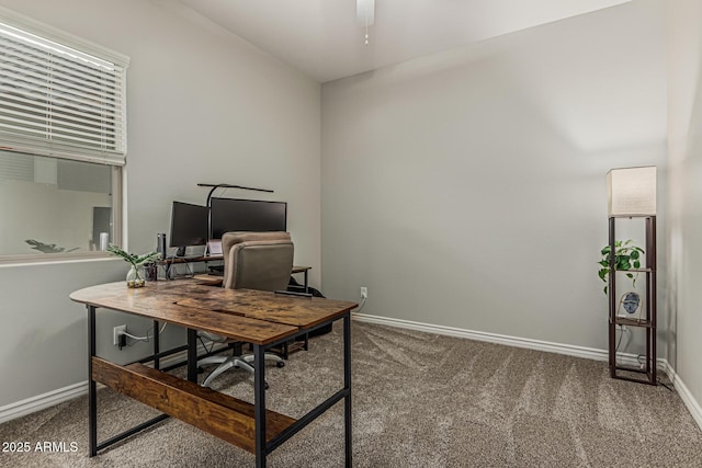 office space featuring carpet flooring and baseboards