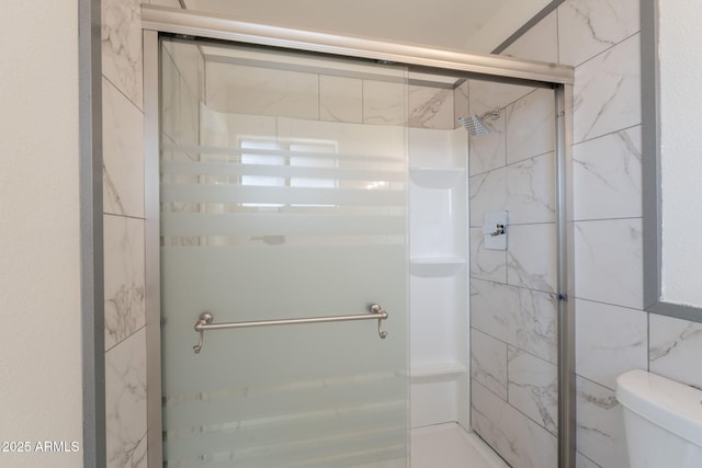 3118 S Los Altos Dr, Mesa, AZ 85202 - bathroom featuring a stall shower and toilet