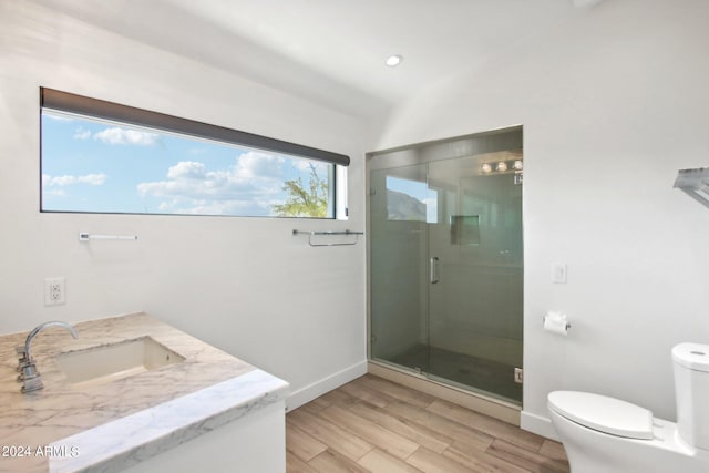 bathroom with vanity, toilet, hardwood / wood-style flooring, and walk in shower