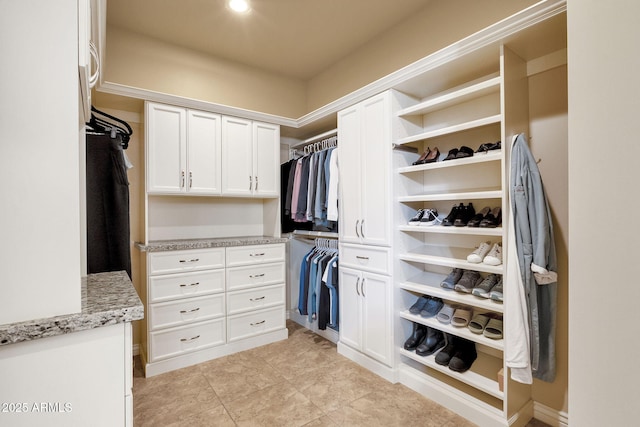 view of spacious closet