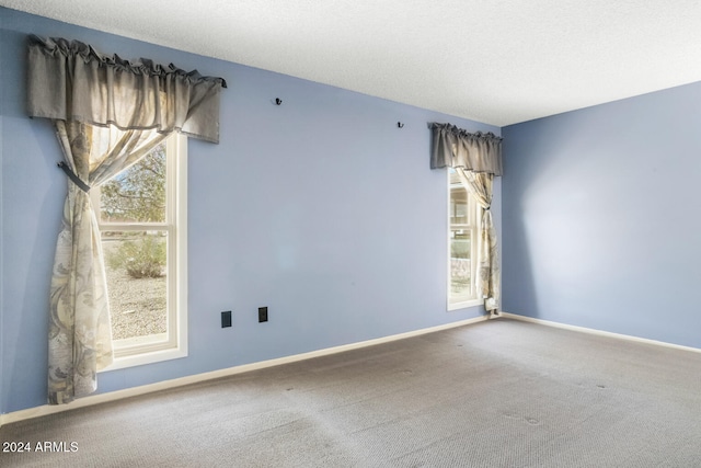 empty room with carpet flooring and a textured ceiling