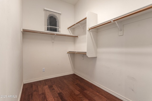 spacious closet featuring dark wood-type flooring