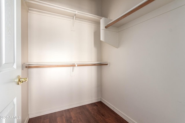 spacious closet with dark wood-style flooring