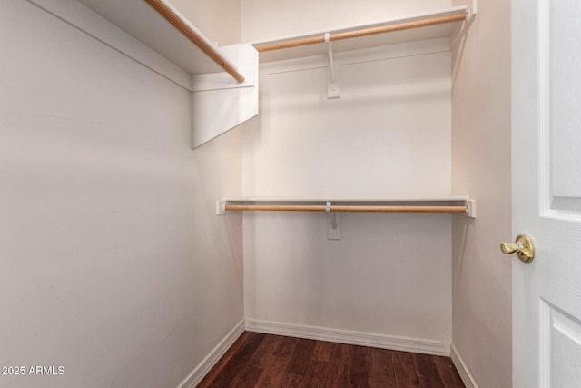 spacious closet with dark wood finished floors