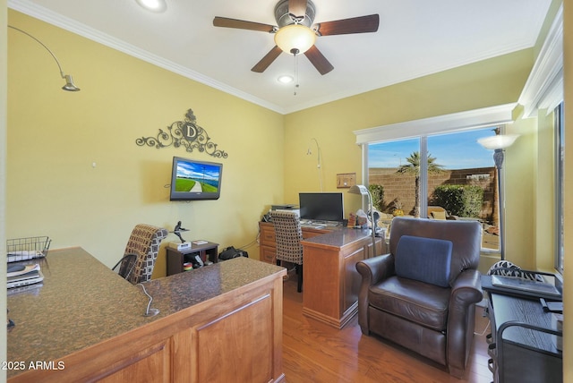 office featuring ceiling fan, ornamental molding, and dark hardwood / wood-style floors