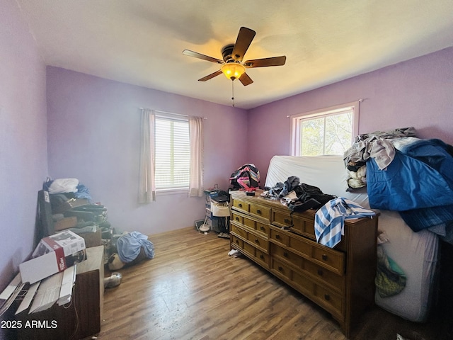 bedroom with hardwood / wood-style flooring, ceiling fan, and multiple windows