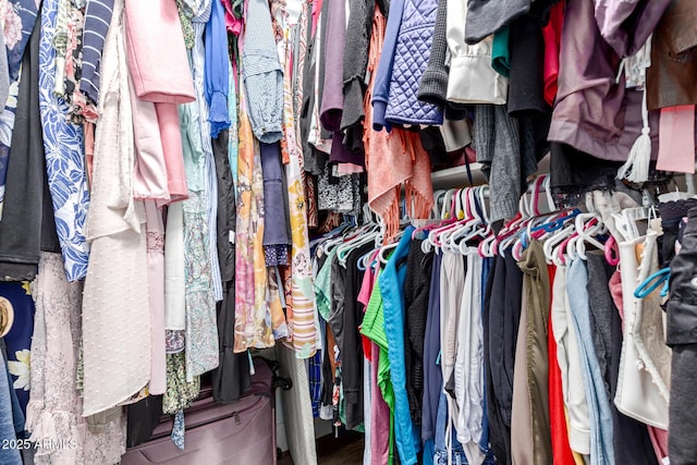 view of walk in closet