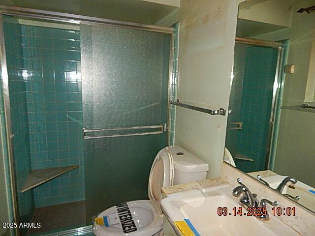 bathroom featuring vanity, toilet, and a shower stall