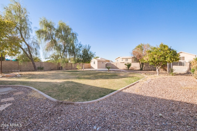 view of yard featuring a storage shed