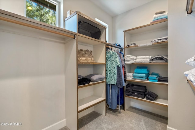 walk in closet with carpet