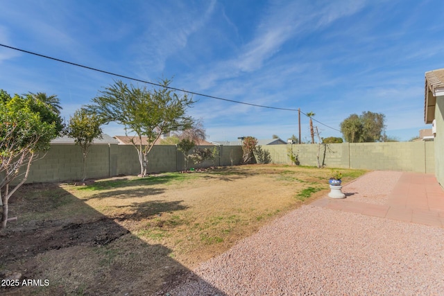 view of yard featuring a patio area