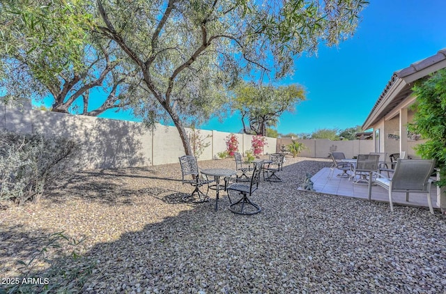 view of yard featuring a patio area