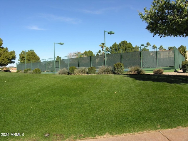 view of property's community with a yard