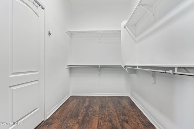 spacious closet with dark wood-type flooring