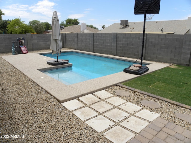 view of swimming pool with a patio