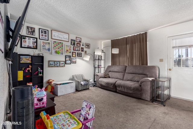 carpeted living area featuring a textured ceiling