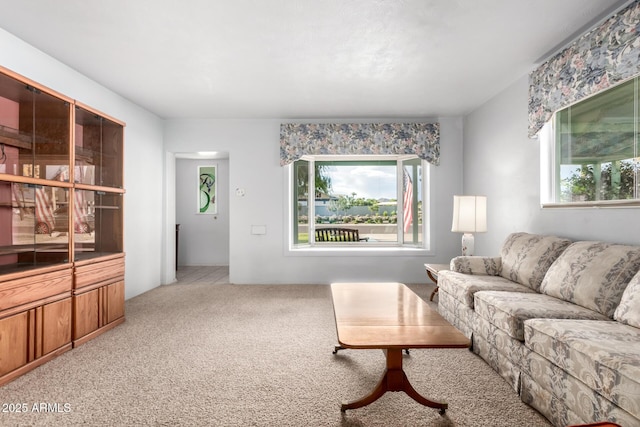 living room with light colored carpet