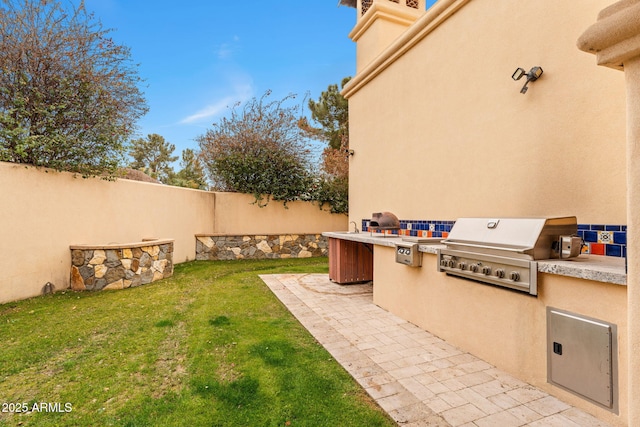 view of yard with a fenced backyard, an outdoor kitchen, and a patio