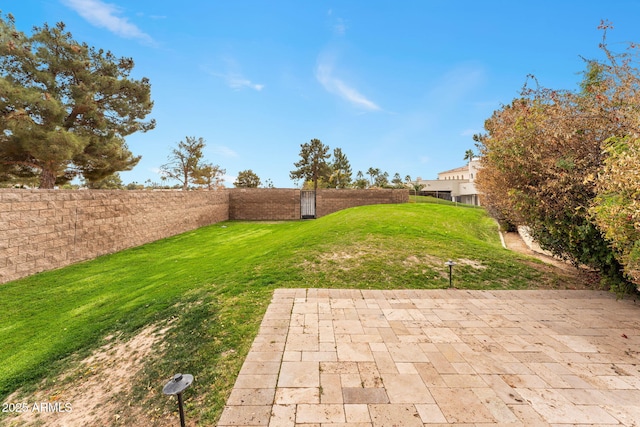 view of yard with a patio and a fenced backyard
