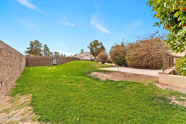 view of yard with a fenced backyard