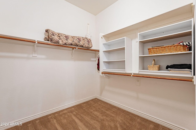 spacious closet featuring carpet floors