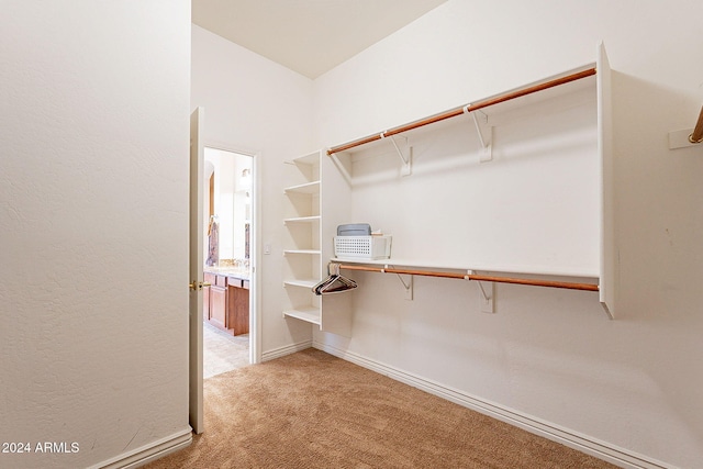 walk in closet with carpet flooring