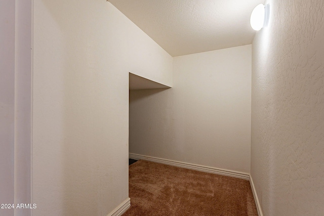 spacious closet with carpet flooring