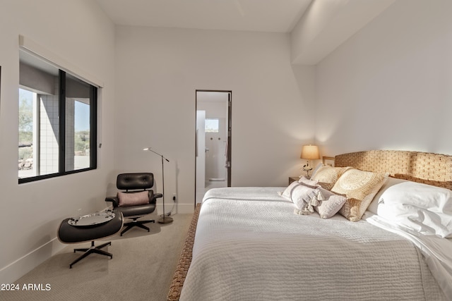 bedroom with baseboards and carpet floors