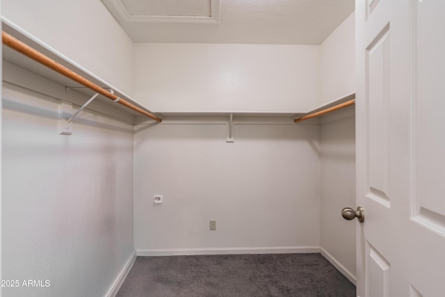 1226 E Greenway Cir, Mesa, AZ 85203 - walk in closet with carpet flooring