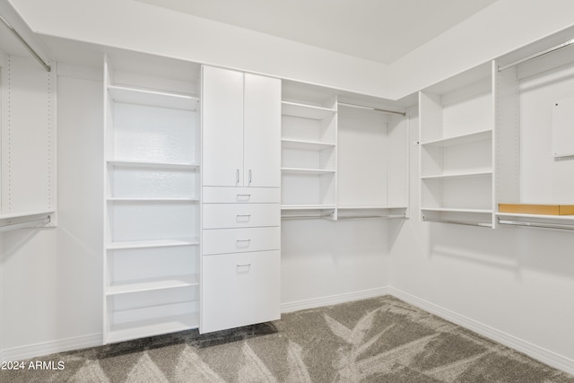 walk in closet featuring carpet flooring