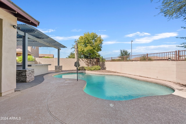 view of pool featuring a patio area and pool water feature