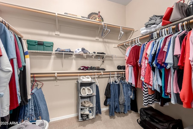 walk in closet with carpet