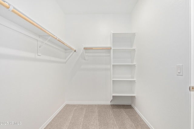 spacious closet featuring light carpet